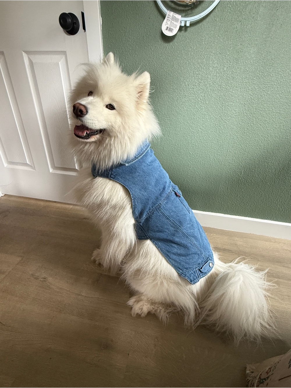 Levi’s x Target Blue Denim Dog Vest Jacket